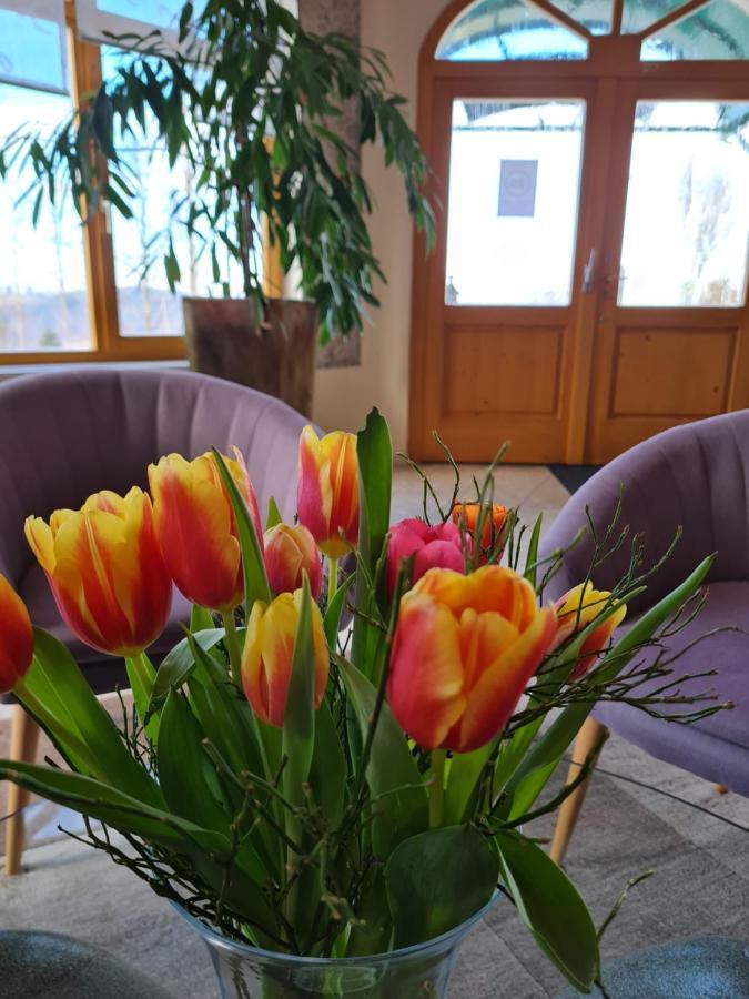 Hotel Dreilandhof Fürstenfeld Zewnętrze zdjęcie